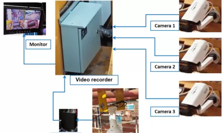 Load View Camera System For Tower Crane